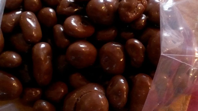 Chocolate Covered Raisins