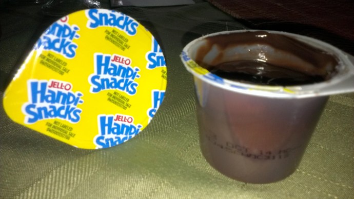 National Chocolate Pudding Day