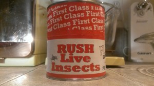 No, they weren't actually LIVE. Scared me for a sec, though. 